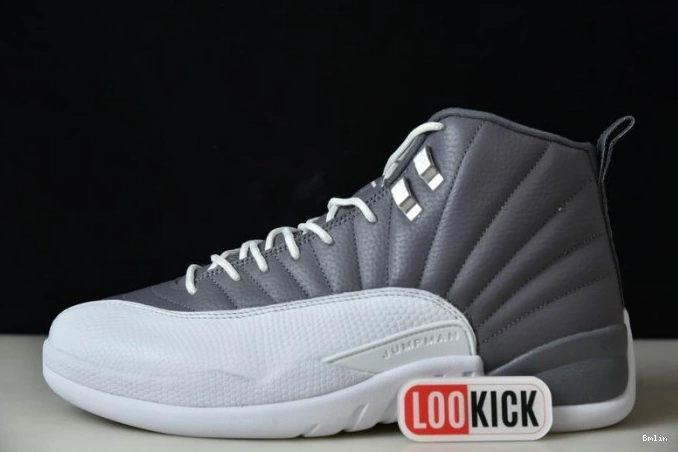 AIR JORDAN STEALTH 12 CT8025-610 0729